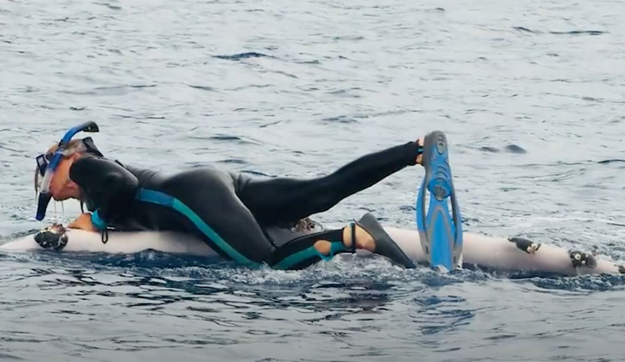 humpback whale saving scientist