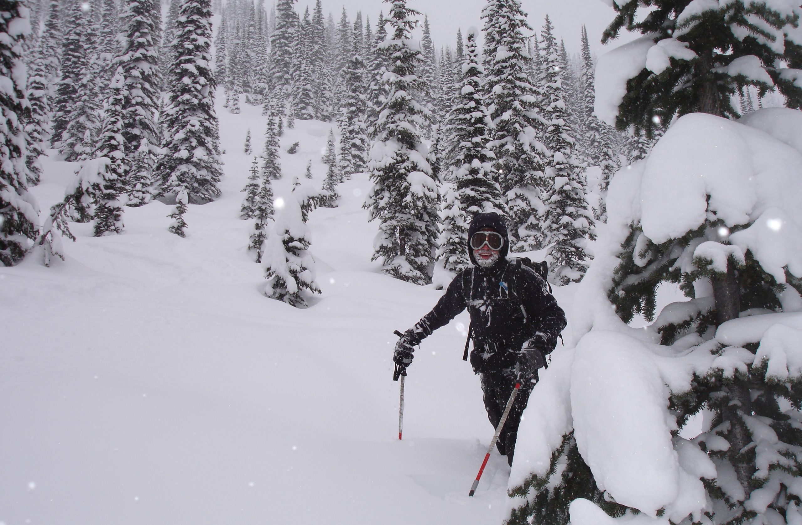 Mike Beerntsen average ski bum
