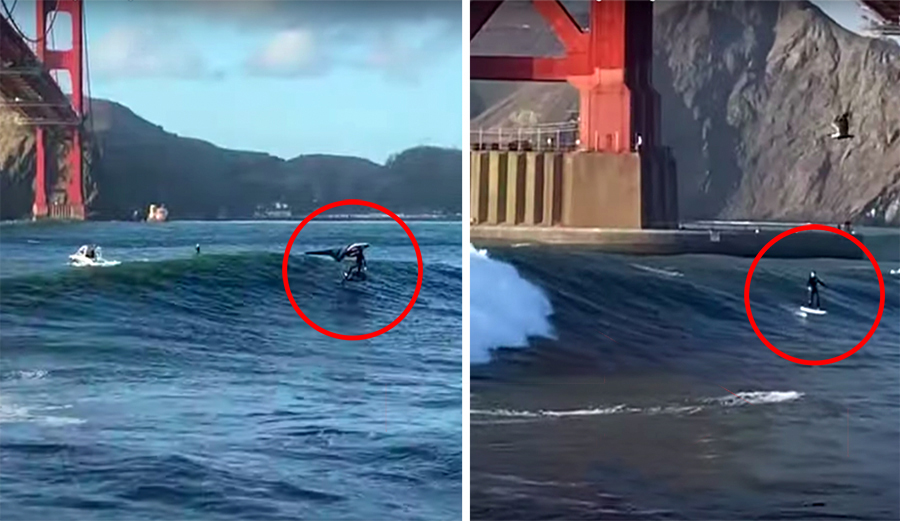 Novelty Surf: Wing Surfing and Tow-Foiling Beneath the Golden Gate Bridge