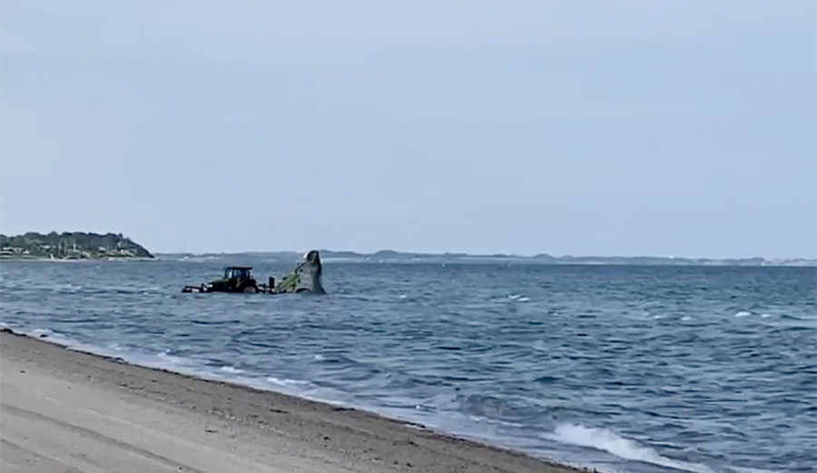 Danish Community beach cleanup