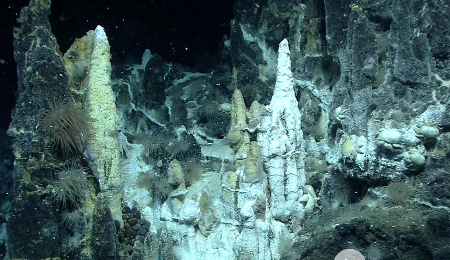 Deep-sea mining vent