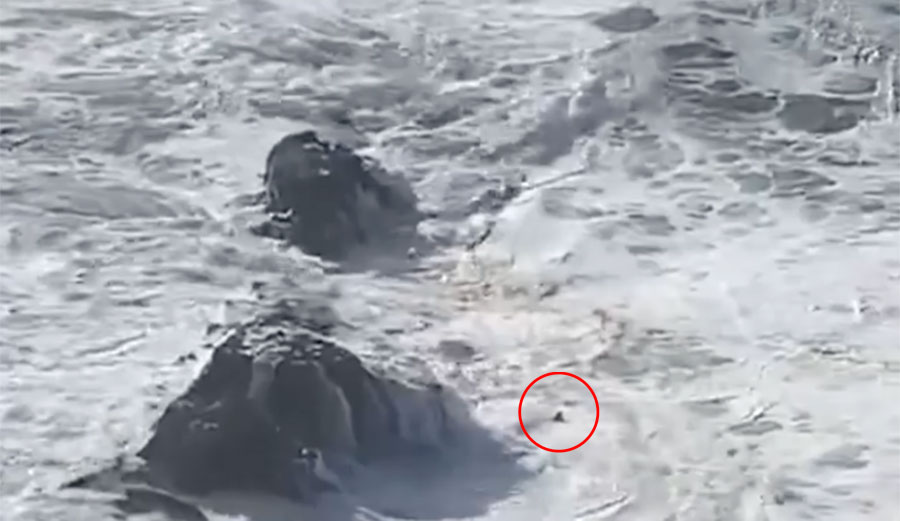 Closest calls in surfing Andrew Cotton at Nazare
