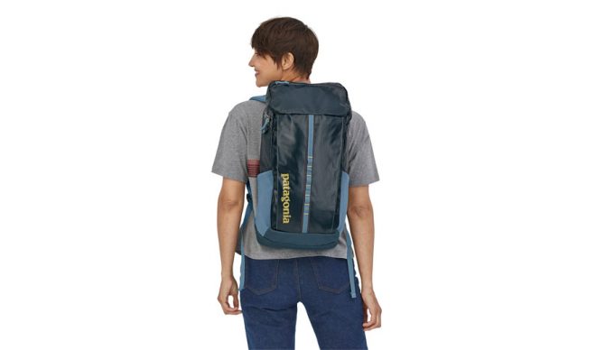 Patagonia Black Hole Pack