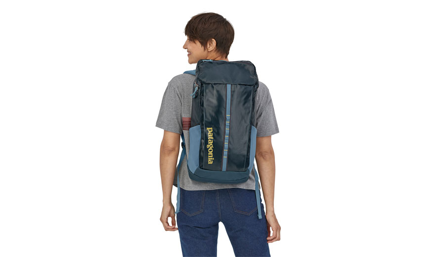 Patagonia Black Hole Pack