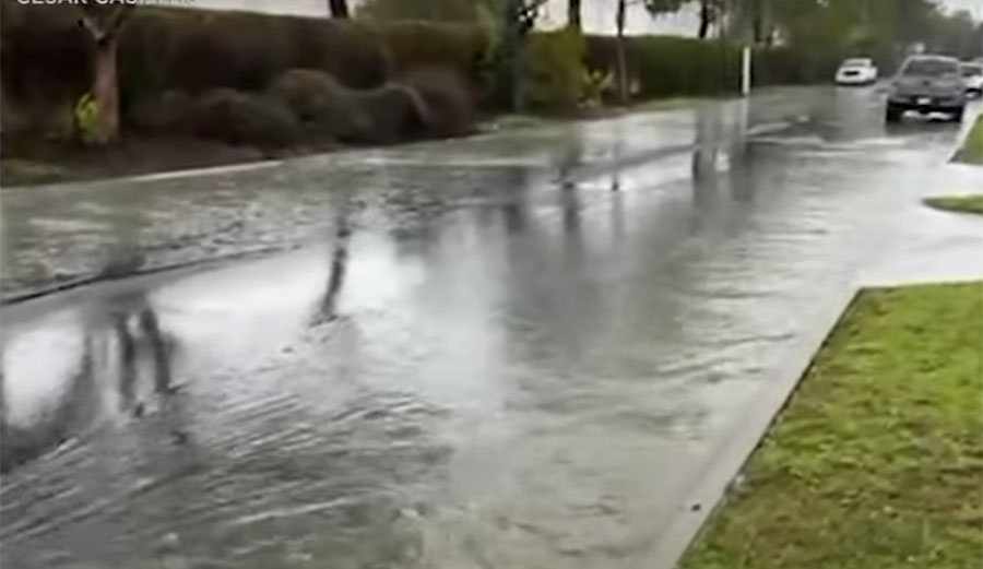 Raw sewage in Carson, California