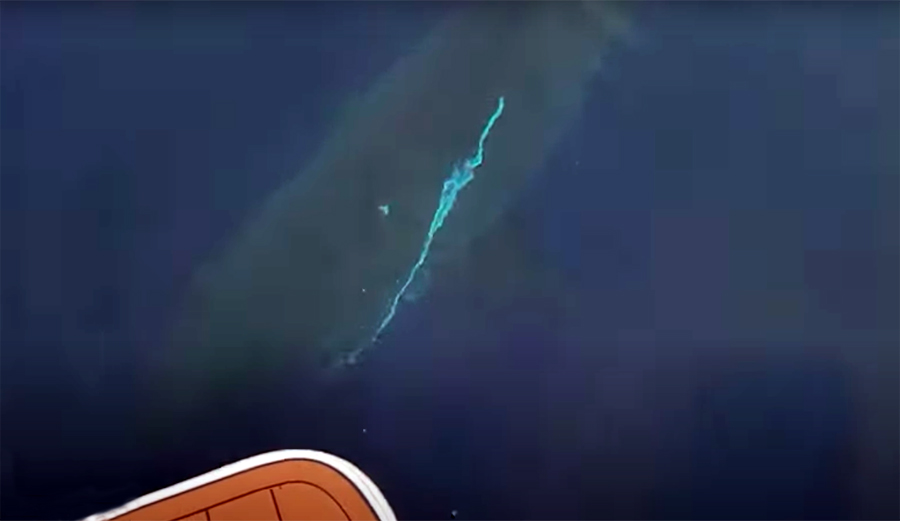 This Guy Filmed a Great White He Says Was 'as Big as His Boat' Off Catalina Island