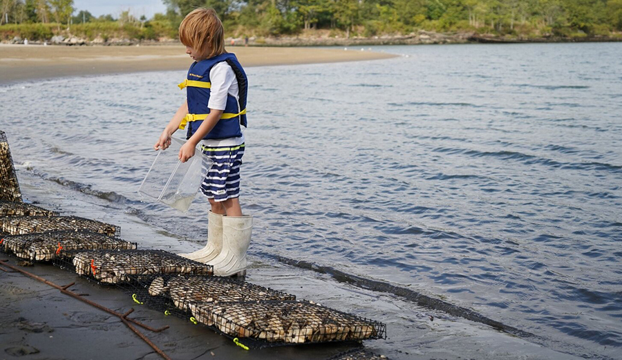 The Billion Oyster Project Is Restoring New York City’s Waterways, and Hopefully the Lineup