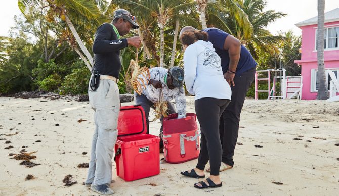 YETI new collection Bimini