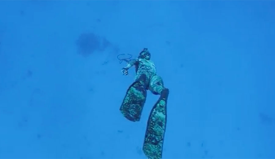 Mark Healey and Kimi Werner spearfishing