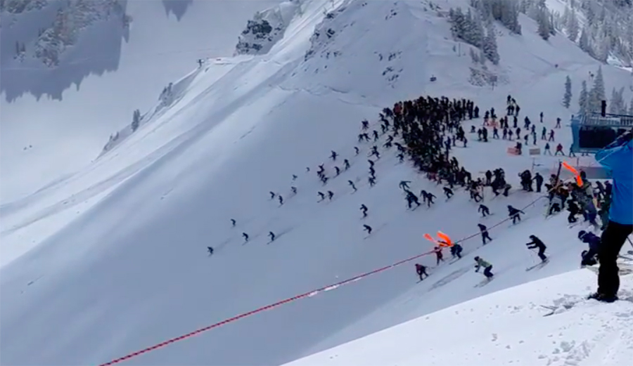 This Is What Snowbird Looks Like When Ski Patrol Drops the Rope on Fresh Pow