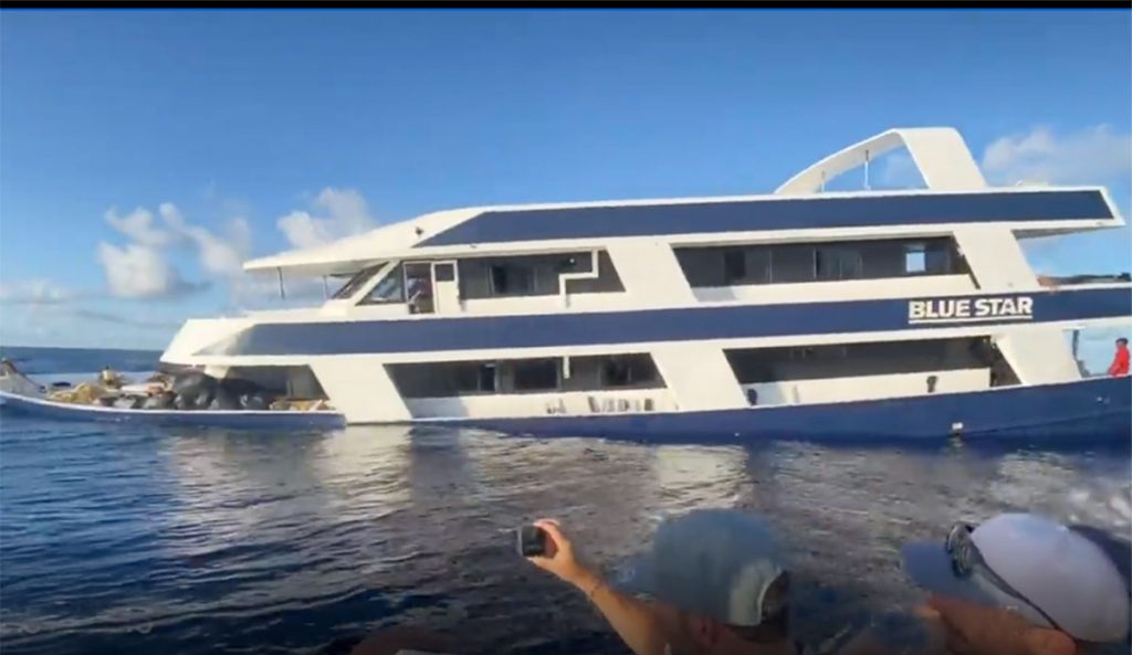 Blue Star surf charter sinks