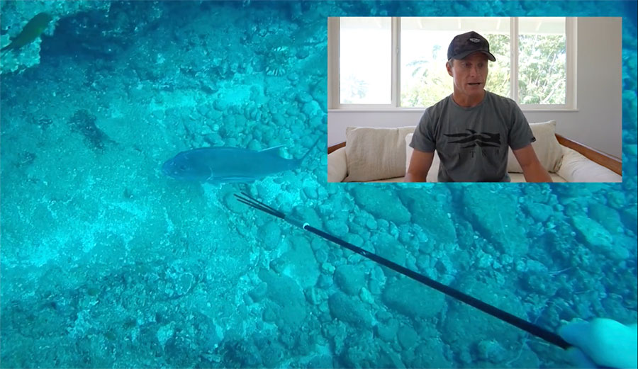mark Healey on how to shoot fish