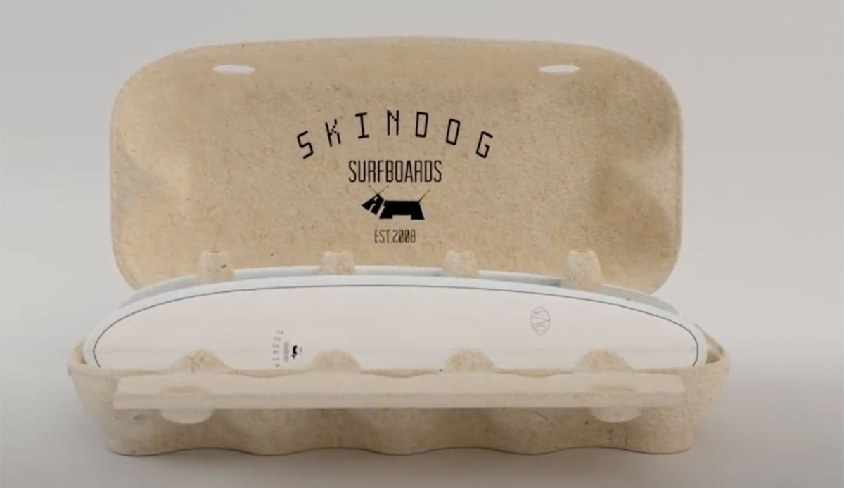 firewire surfboard ova
