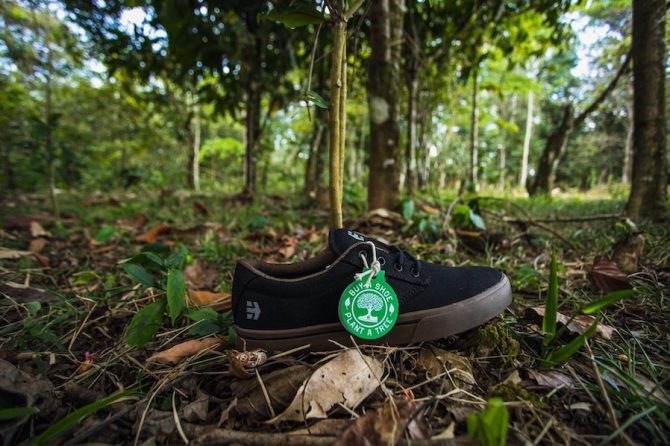 Etnies Jameson 2 Eco