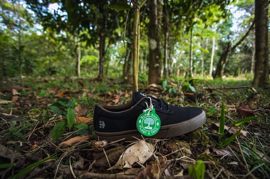 Etnies Jameson 2 Eco