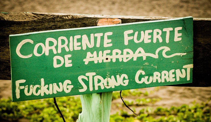Living the Dream? The Often-Harsh Reality of Running a Surf Camp