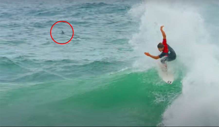 Jack Robinson: A Shark in the Lineup and Three Airs on a Wave?