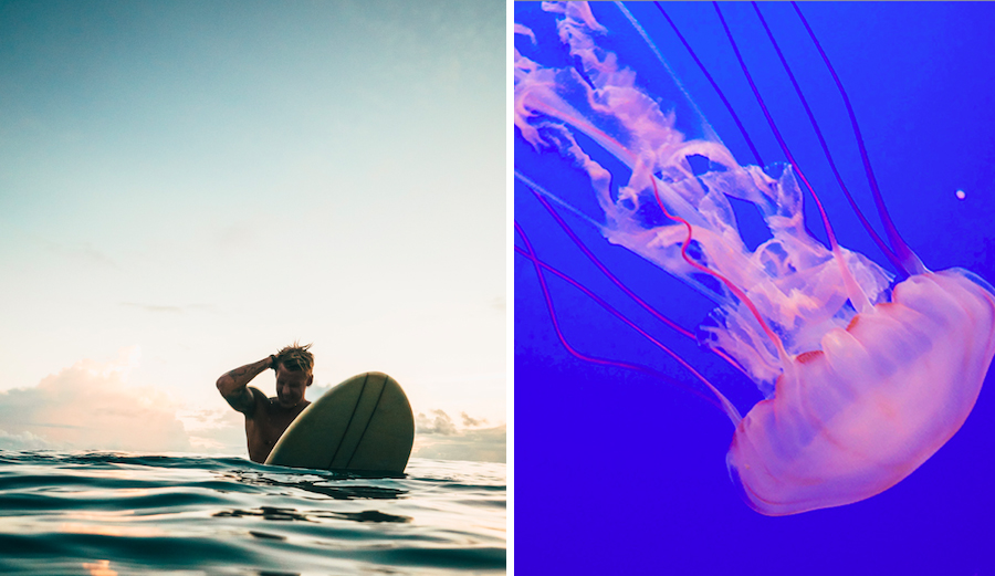Why Reducing Your Plastic Usage May Save Your Skin From Itchy Jellyfish