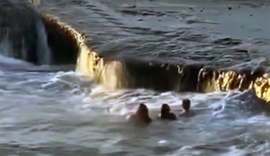 Two Teens Receive Carnegie Medals for Dramatic Rescue at Sunset Cliffs