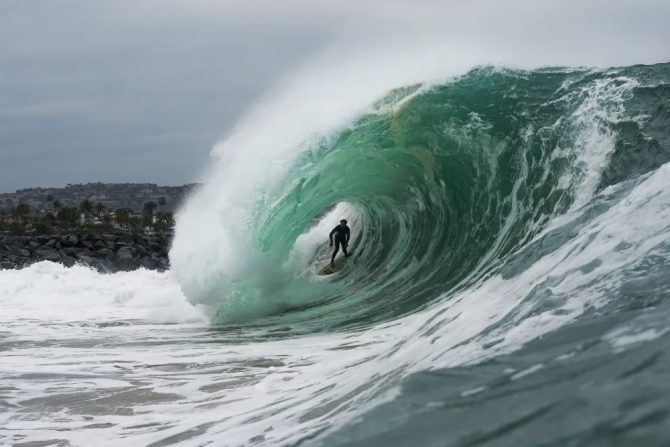 the wedge
