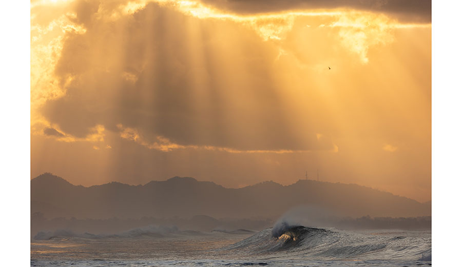 All-Time Scott Harrison photo