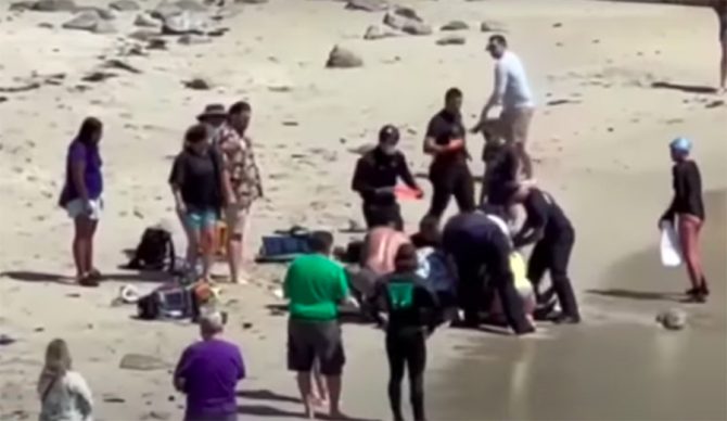 The California Department of Fish and Wildlife's forensic scientists used the bite mark to estimate the size of the shark that attacked a swimmer near Monterey.