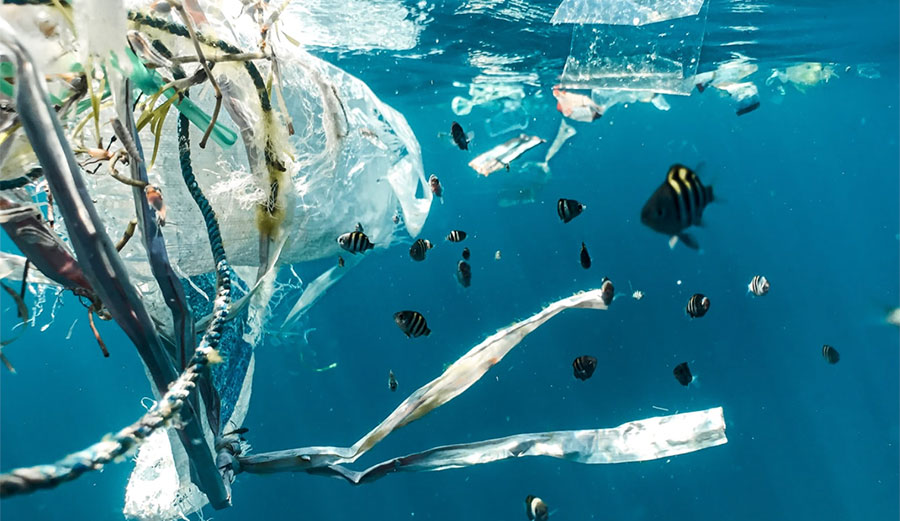 UN says we're in ocean emergency