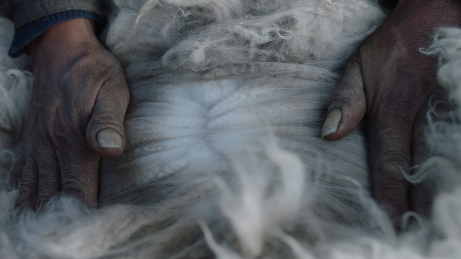 Alpaca wool