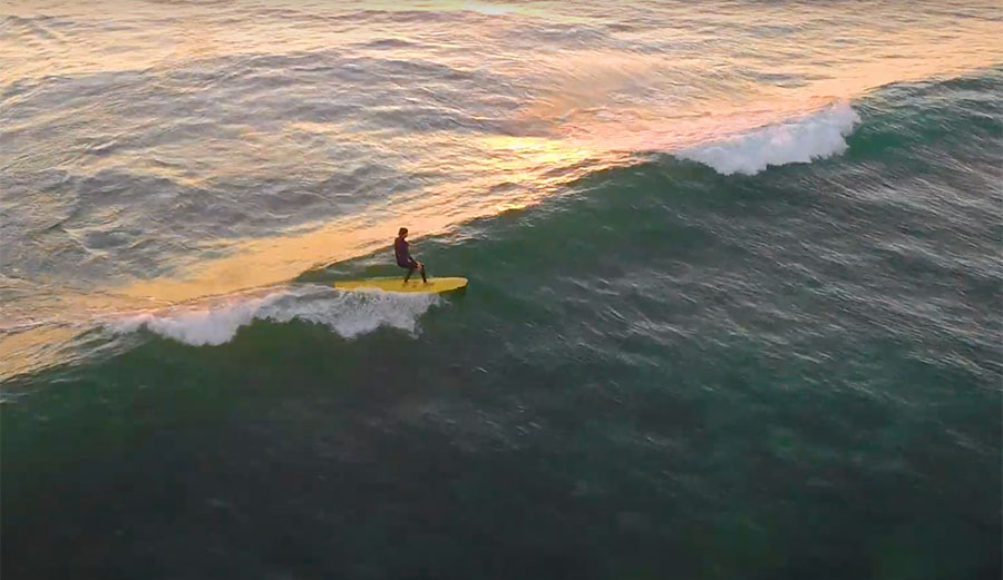 Corey Colapinto surfing in Mexico
