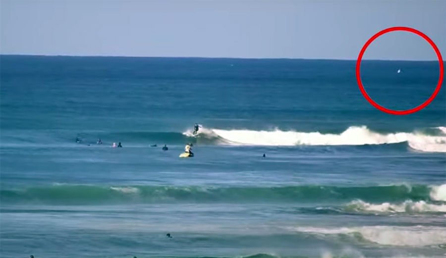 Great White Appears to Breach at Jeffreys Bay Ahead of Championship Tour Start