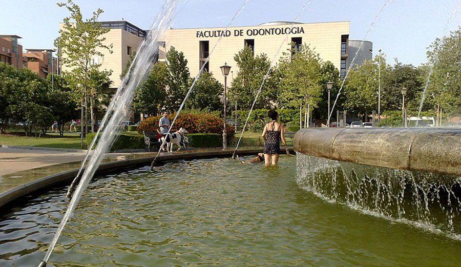 heat wave in Seville, Spain