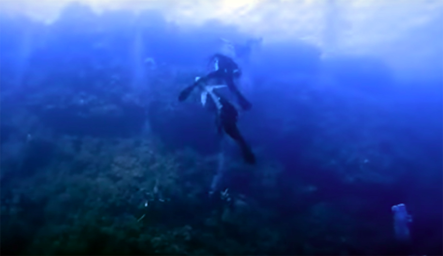 Is This One of the Craziest Shark Attacks Ever Caught on Film?