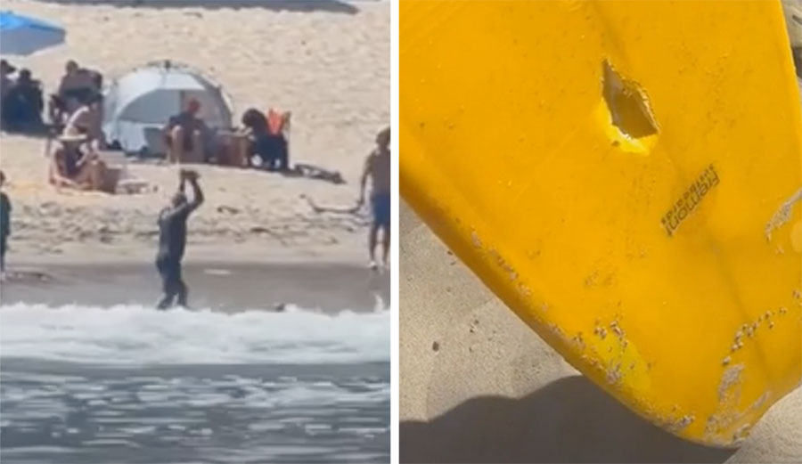 surfing violence