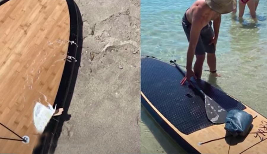 Shark Attacks Paddleboarder With Dog in Pacific Grove During Second Incident This Summer