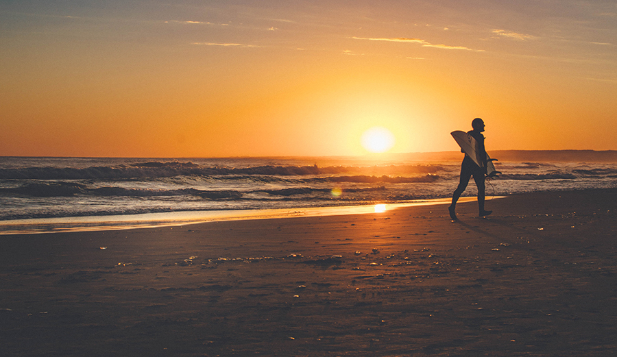 Why Is Surfing So Good for Us? A Neuroscientist and a Writer Offer Clues
