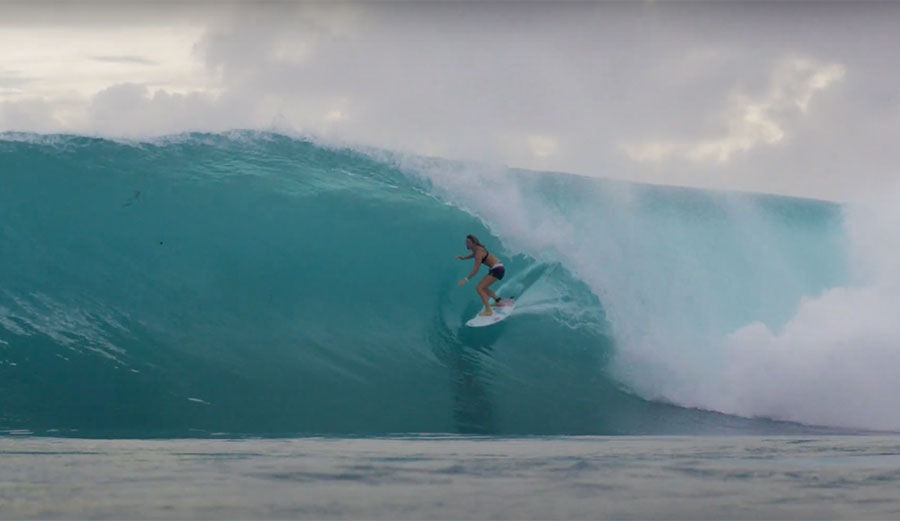 coco ho surfing Hollow Trees