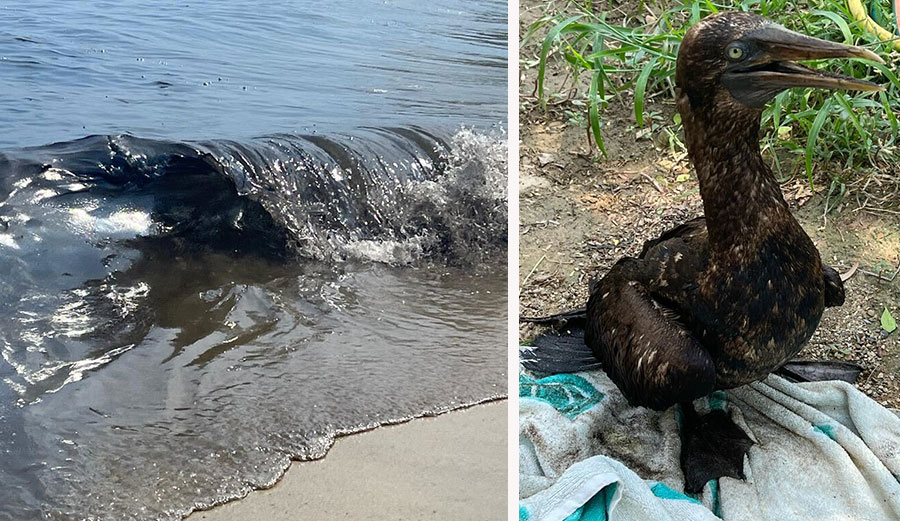 Salina Cruz Oil spill in Conejo