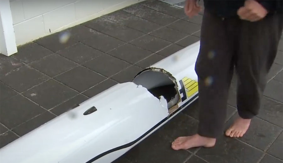 great white shark hit surf ski