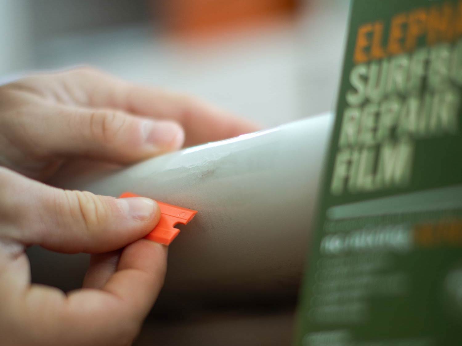 Elephant Seal plastic scraper