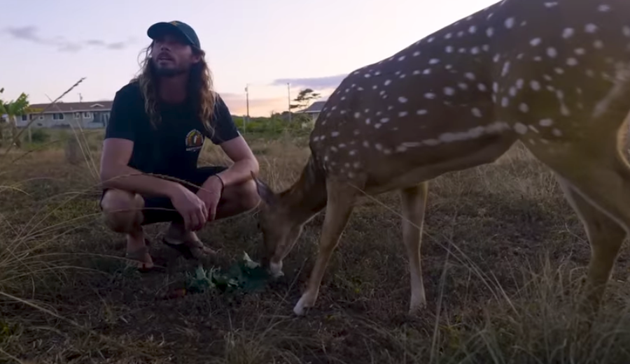 Matt Meola with his pet deer