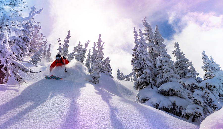 Skier in powder for Ikon Pass