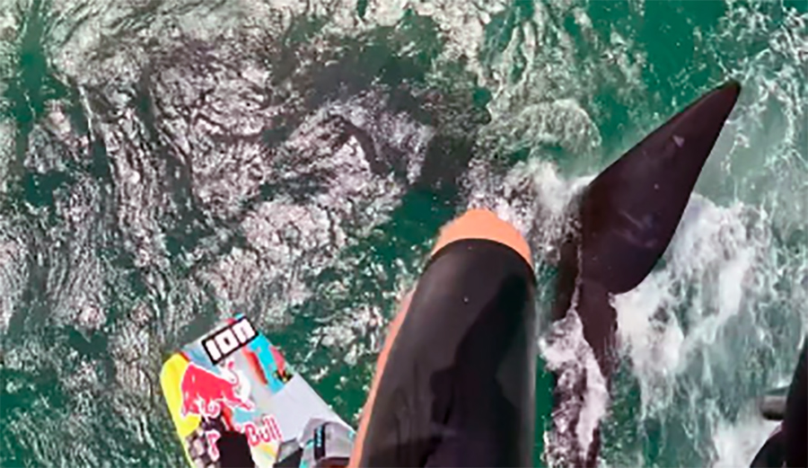 Watch This Kiteboarder Catch Air Over Whale