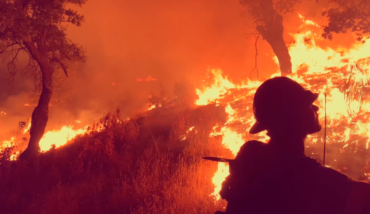 Ventura Firefighter Caleb Amico Works to Contain the Thomas Fire