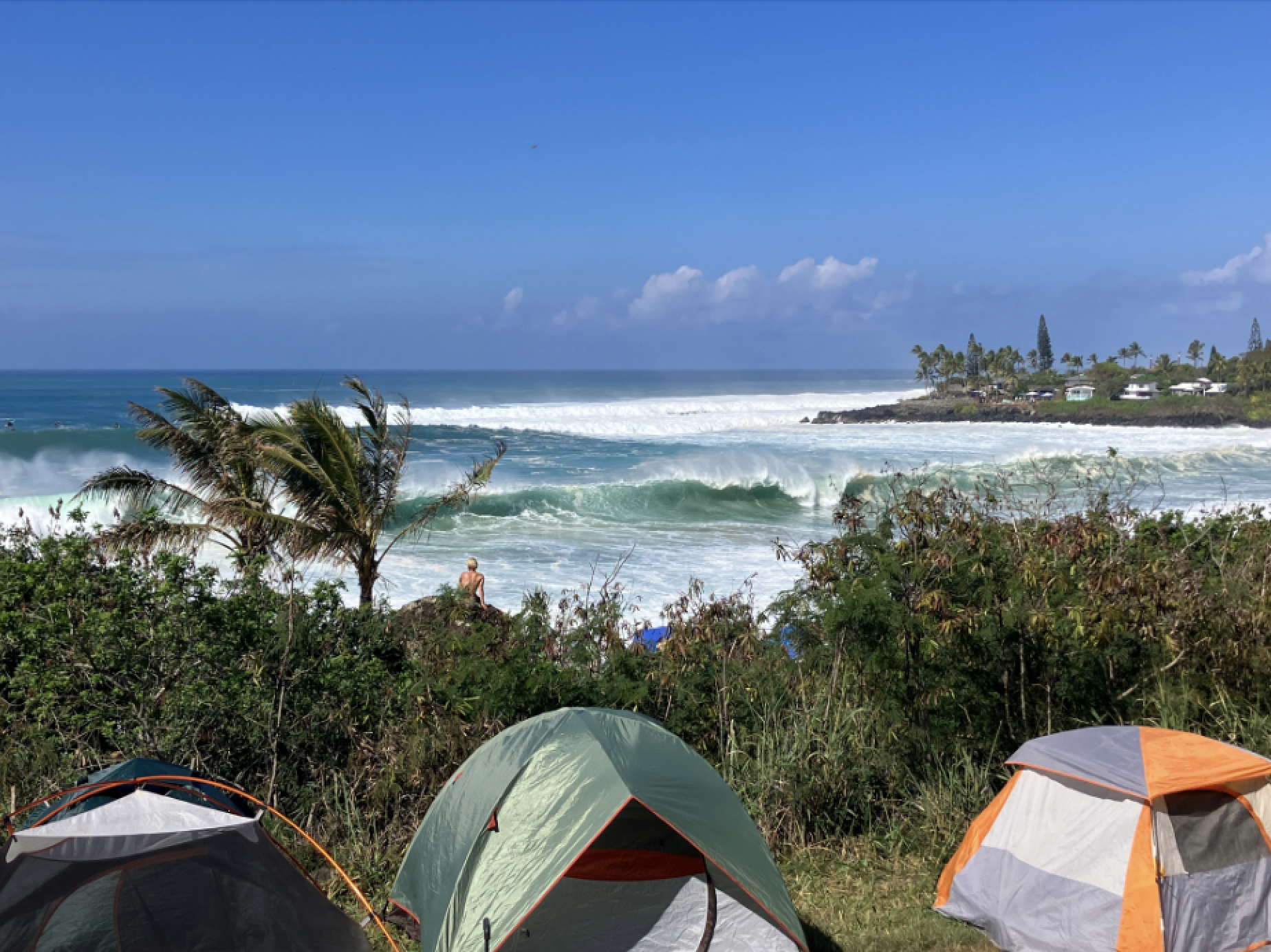 Eddie Aikau spectators