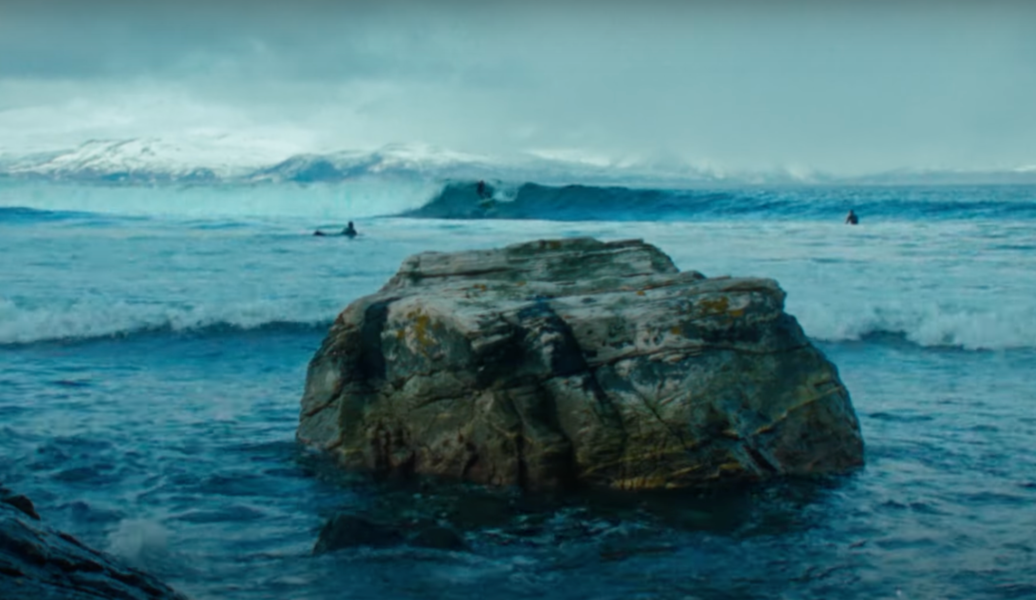 Arctic roses surf