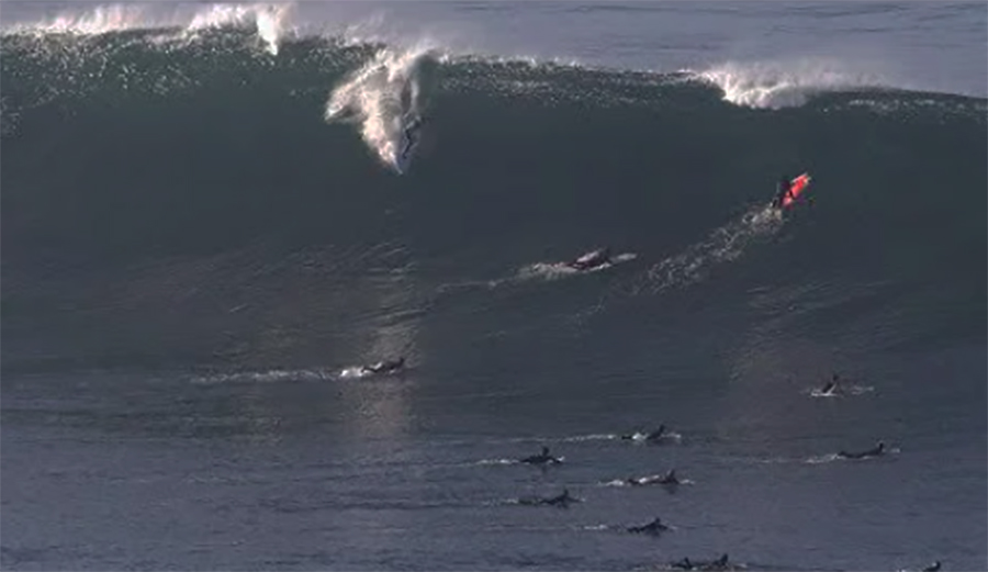 San Diego's Favorite Deep-Water Break Went Richter With This Giant Swell