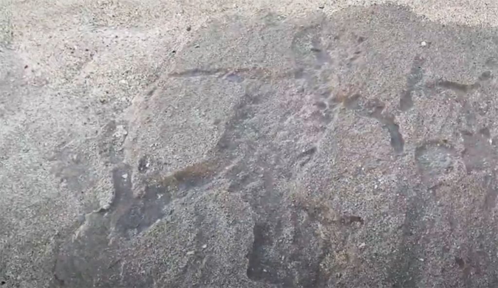 North Shore Petroglyphs
