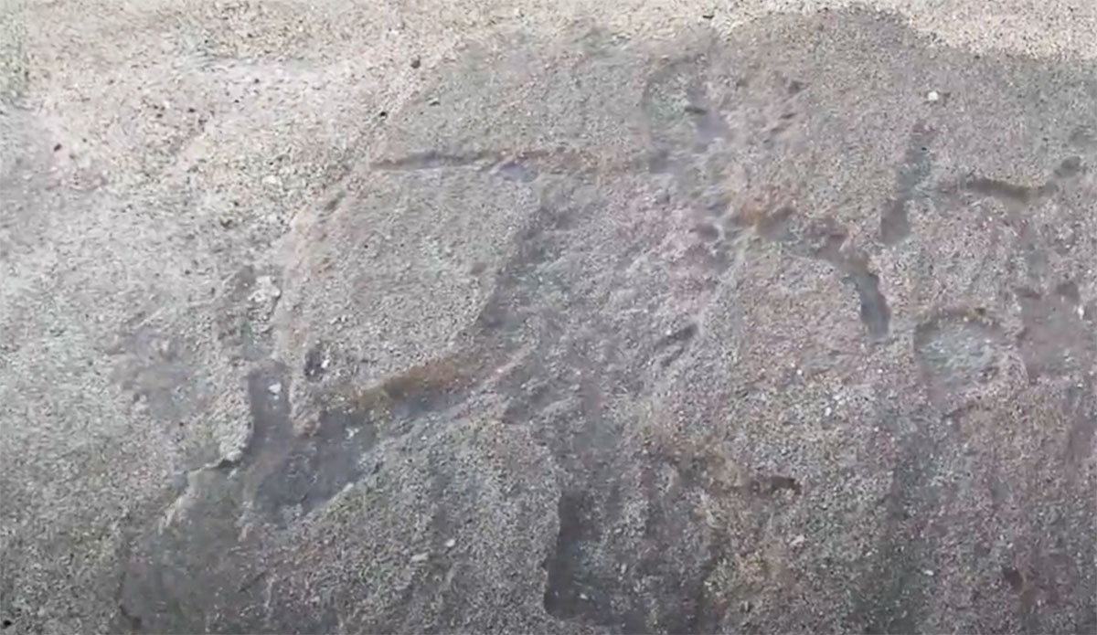 North Shore Petroglyphs