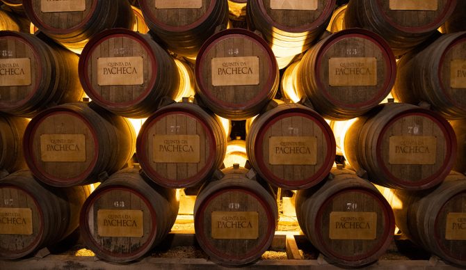 winery in Portugal
