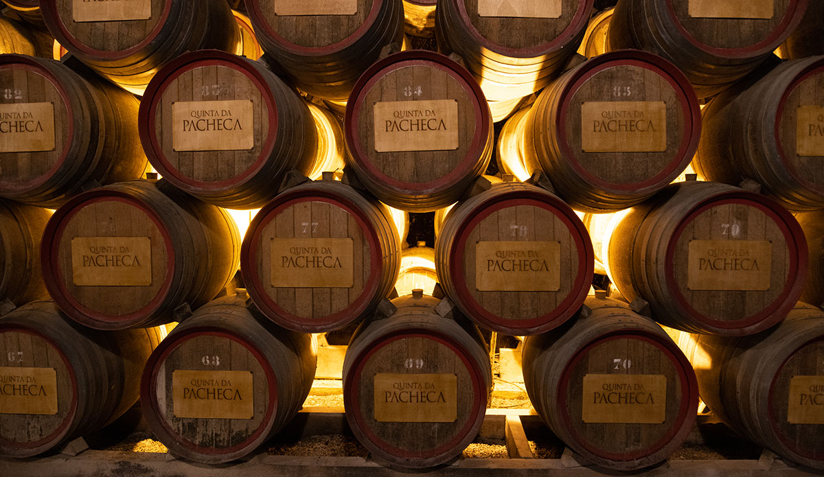 winery in Portugal